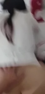 梅林与龙之战